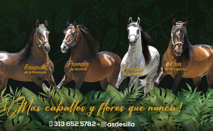 EXPOINTERNACIONAL EQUINA FERIA DE LAS FLORES